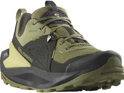 SALOMON Herren Multifunktionsschuhe SHOES ELIXIR GTX Black/Dried Herb/Sthmos Grau