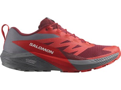 SALOMON Herren Trailrunningschuhe SHOES SENSE RIDE 5 Quiet Shade/Bird/PoRd Lila