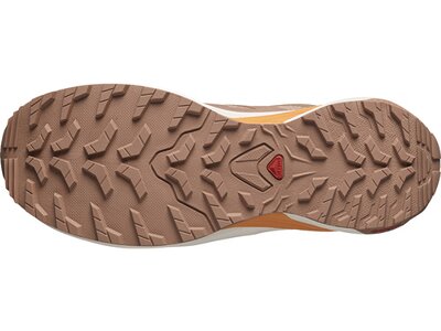 SALOMON Damen Trailrunningschuhe SHOES X-ADVENTURE GTX W Mocha Braun