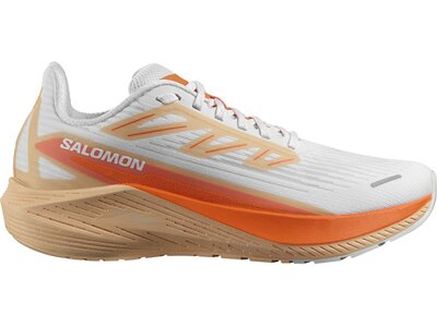 SALOMON Damen Laufschuhe SHOES AERO BLAZE 2 W White/Drfire/Peachq Braun