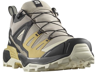 SALOMON Herren Multifunktionsschuhe SHOES X ULTRA 360 GTX Vinkha/Black/Sthmo Braun