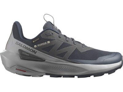 SALOMON Herren Multifunktionsschuhe SHOES ELIXIR ACTIV GTX Carbon/Shskin/Sla Grau