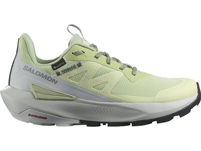 SALOMON Damen Multifunktionsschuhe SHOES ELIXIR ACTIV GTX W Celgre/Glacgr/P Grau