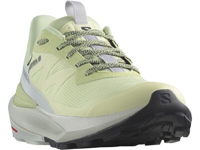 SALOMON Damen Multifunktionsschuhe SHOES ELIXIR ACTIV GTX W Celgre/Glacgr/P Grau