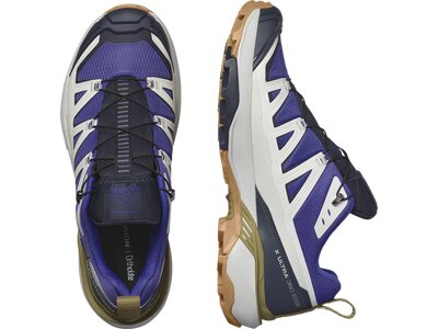 SALOMON Herren Multifunktionsschuhe SHOES X ULTRA 360 EDGE GTX Specbl/Glacgr Lila