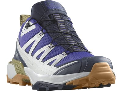 SALOMON Herren Multifunktionsschuhe SHOES X ULTRA 360 EDGE GTX Specbl/Glacgr Silber