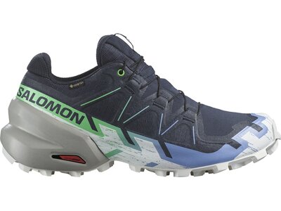 SALOMON Damen Trailrunningschuhe SHOES SPEEDCROSS 6 GTX W Carbon/Proven/W Grau