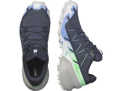 SALOMON Damen Trailrunningschuhe SHOES SPEEDCROSS 6 GTX W Carbon/Proven/W Grau