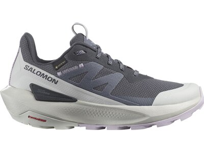 SALOMON Damen Multifunktionsschuhe SHOES ELIXIR ACTIV GTX W Indink/Glacgr/O Grau