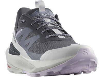 SALOMON Damen Multifunktionsschuhe SHOES ELIXIR ACTIV GTX W Indink/Glacgr/O Grau