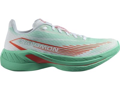 SALOMON Damen Laufschuhe SHOES SPECTUR 2 W Bay/Chert/Electg Grün