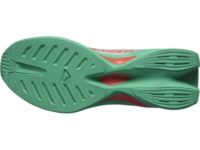 SALOMON Damen Laufschuhe SHOES SPECTUR 2 W Bay/Chert/Electg Grün