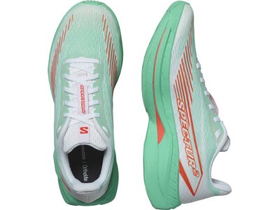 SALOMON Damen Laufschuhe SHOES SPECTUR 2 W Bay/Chert/Electg Grün