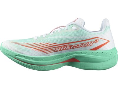 SALOMON Damen Laufschuhe SHOES SPECTUR 2 W Bay/Chert/Electg Grün