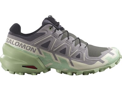 SALOMON Damen Trailrunningschuhe SHOES SPEEDCROSS 6 W Clrock/Vanila/Smoke Grau