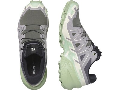 SALOMON Damen Trailrunningschuhe SHOES SPEEDCROSS 6 W Clrock/Vanila/Smoke Grau