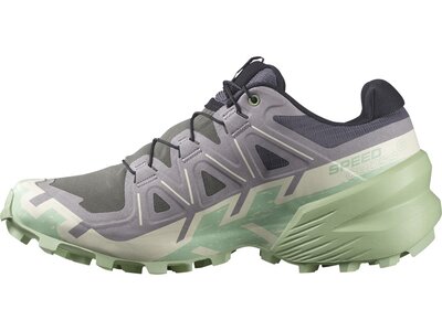 SALOMON Damen Trailrunningschuhe SHOES SPEEDCROSS 6 W Clrock/Vanila/Smoke Grau