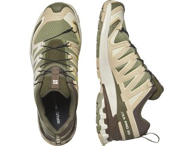 SALOMON Herren Trailrunningschuhe SHOES XA PRO 3D V9 Dlicgr/Sfari/Dkeart Grün