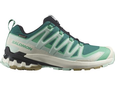 SALOMON Damen Trailrunningschuhe SHOES XA PRO 3D V9 GTX W Lake/Electg/Van Grün