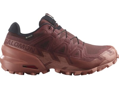 SALOMON Damen Trailrunningschuhe SHOES SPEEDCROSS 6 GTX W Rum Ra/Barn R/C Rot