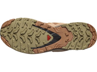 SALOMON Damen Trailrunningschuhe SHOES XA PRO 3D V9 W Cork/Peachf/Sponge Rot