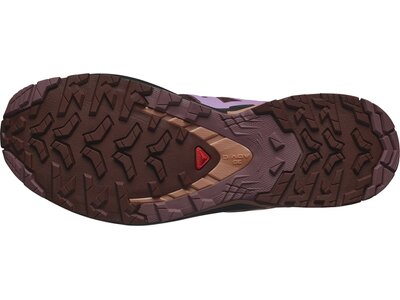 SALOMON Damen Trailrunningschuhe SHOES XA PRO 3D V9 W Rum Ra/Orchib/Canyo Rot