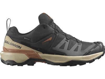 SALOMON Herren Multifunktionsschuhe SHOES X ULTRA 360 GTX Phantm/Sfari/Caram Grau