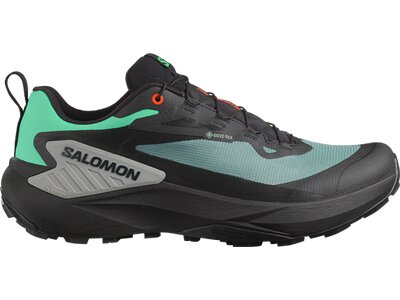SALOMON Herren Trailrunningschuhe SHOES GENESIS GTX Noat/Black/Shskin Grau