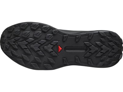 SALOMON Herren Trailrunningschuhe SHOES GENESIS GTX Noat/Black/Shskin Grau