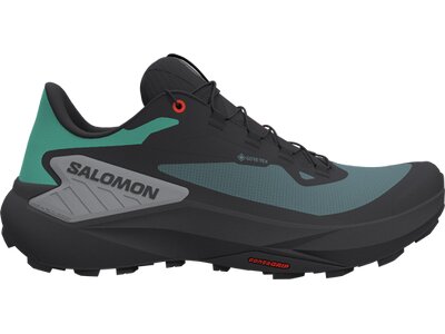 SALOMON Herren Trailrunningschuhe SHOES GENESIS GTX Noat/Black/Shskin Grau