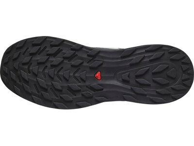 SALOMON Herren Trailrunningschuhe SHOES ULTRA FLOW GTX Shskin/Black/Gryvio Grau