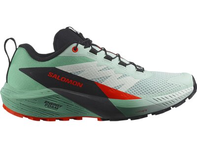 SALOMON Damen Trailrunningschuhe SHOES SENSE RIDE 5 W Bay/Black/Chert Grün