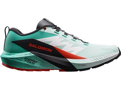 SALOMON Damen Trailrunningschuhe SHOES SENSE RIDE 5 W Bay/Black/Chert Grün