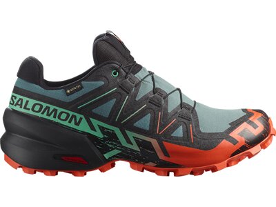 SALOMON Herren Trailrunningschuhe SHOES SPEEDCROSS 6 GTX Noat/Black/Chert Grau