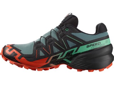 SALOMON Herren Trailrunningschuhe SHOES SPEEDCROSS 6 GTX Noat/Black/Chert Grau