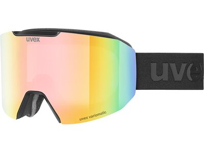 UVEX Herren Brille evidnt ATTRACT V Grau