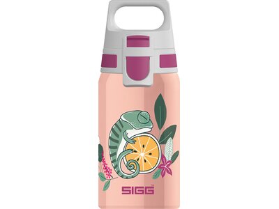 SIGG Trinkbehälter SHIELD ONE FLORA Pink