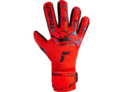 REUSCH Torwarthandschuhe Attrakt Grip Evolution Finger Support rot