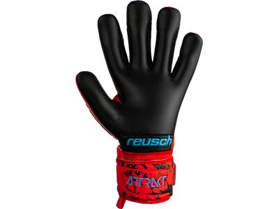 REUSCH Torwarthandschuhe Attrakt Grip Evolution Finger Support rot