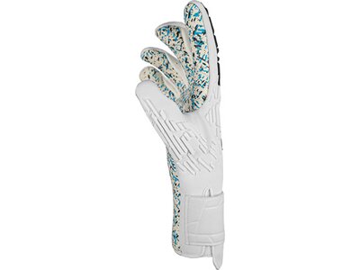 REUSCH Torwarthandschuhe Attrakt Freegel Fusion Weiss