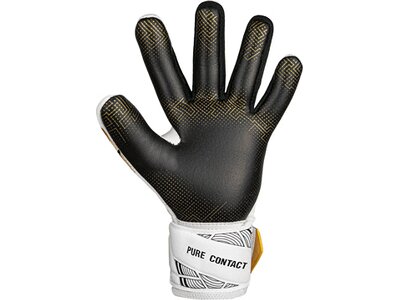 REUSCH Kinder Torwarthandschuhe Pure Contact Gold GluePrint Junior Weiss