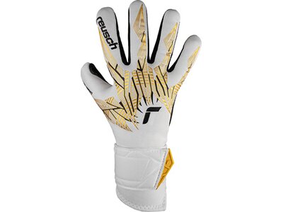 REUSCH Kinder Torwarthandschuhe Pure Contact Gold GluePrint Junior Weiss