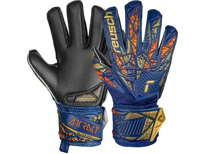 REUSCH Kinder Torwarthandschuhe Attrakt Silver Junior Blau