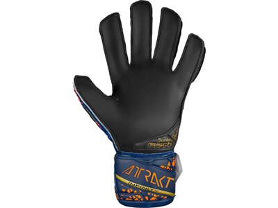 REUSCH Kinder Torwarthandschuhe Attrakt Infinity Finger Support Junior Blau