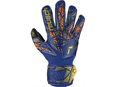 REUSCH Kinder Torwarthandschuhe Attrakt Infinity Finger Support Junior Blau