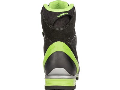 LOWA Herren Bergstiefel ALPINE PRO GTX® LE Schwarz