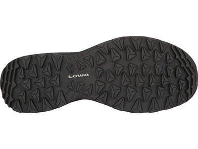 LOWA Herren Multifunktionsschuhe TORO PRO GTX LO Blau