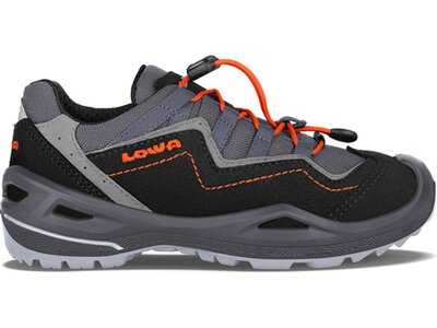 LOWA Kinder Multifunktionsschuhe ROBIN EVO GTX LO Grau