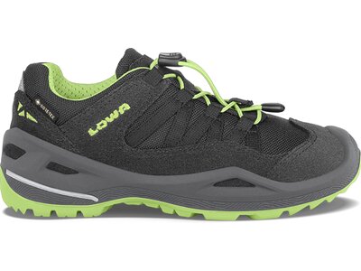 LOWA Kinder Multifunktionsschuhe ROBIN GTX® LO Schwarz