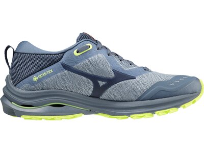 MIZUNO Damen Laufschuhe WAVE RIDER GTX(W) Grau